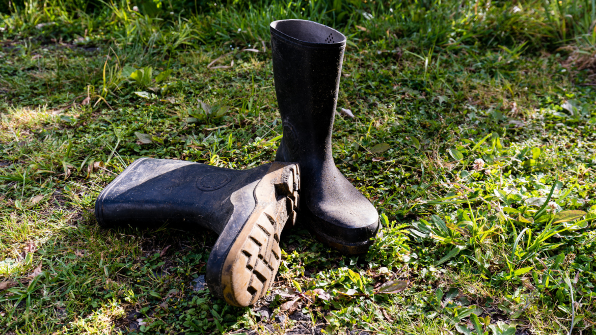 Gum boots